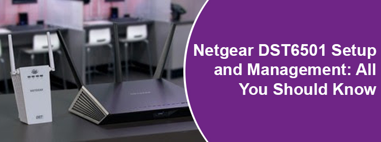 Netgear DST6501 Setup and Management